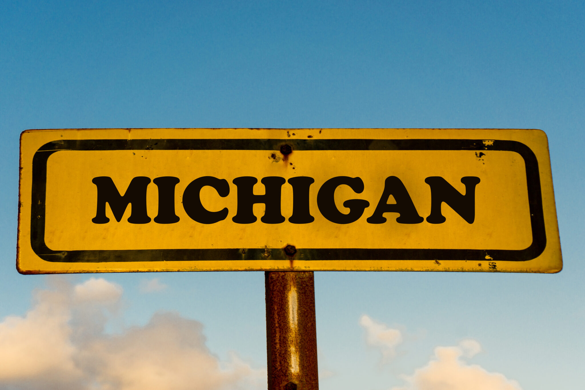 Swing Voter Project, March 2025: Michigan